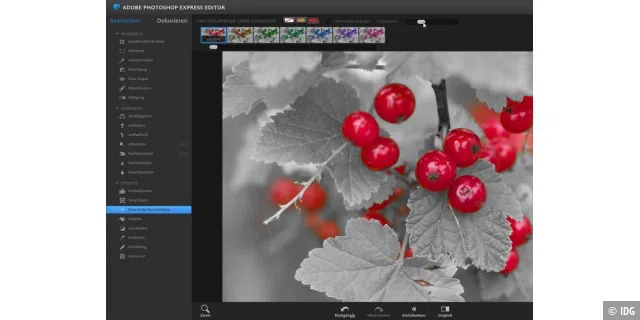 Toller Effekt: Mit der Funktion „Eine Farbe hervorheben“ im Adobe Photoshop Express Editor gelingt es mühelos, die Beeren in unserem Beispielbild vom schwarz-weißen Hintergrund abzuheben.