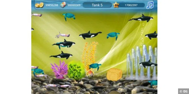 Platz 6: Tap Fish