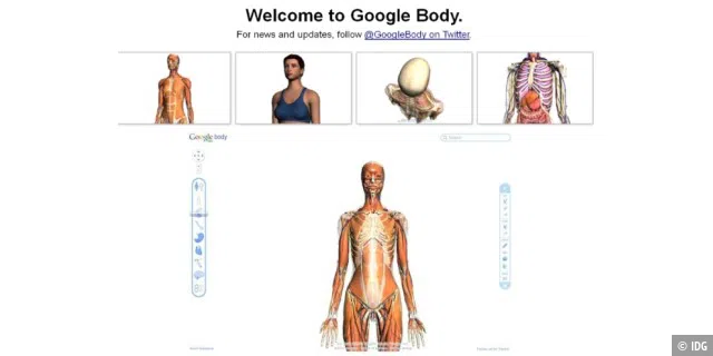 Google Body Browser 