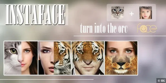 InstaFace: face eyes morph