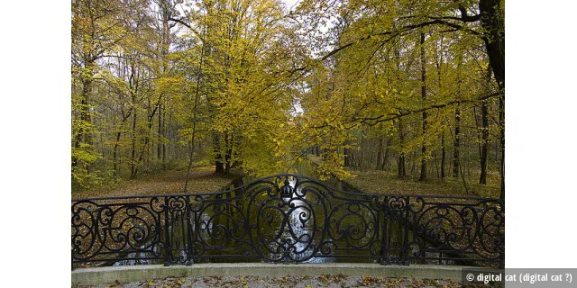 Schlosspark Nymphenburg - im Herbst