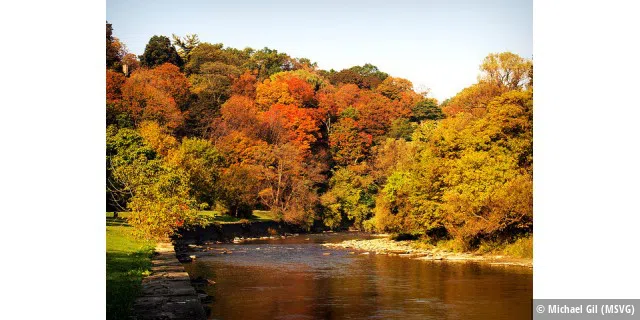 Autumn at Humber River