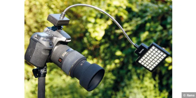 Hama LED Photo/Video Slim Panal 40 im Praxiseinsatz an einer DSLR mit Makroobjektiv.