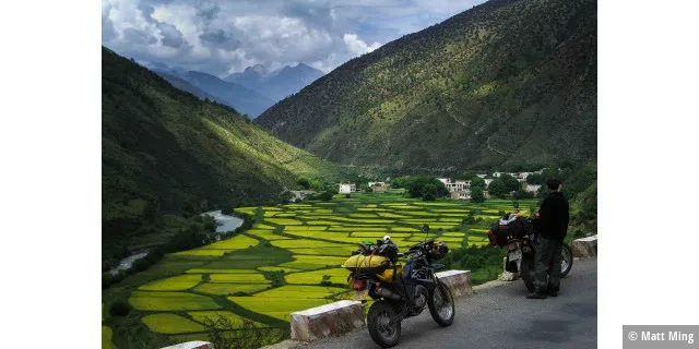 Canola fields, Motorbike Trip Tibet