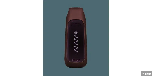 Fitbit One (ca. 100 Euro)