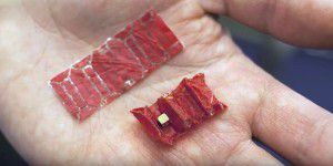 Forscher präsentieren verschluckbaren Roboter