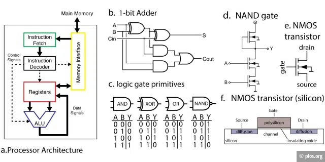 Struktur des Prozessors MOS 6502 (aus: Could a Neuroscientist Understand a Microprocessor? Eric Jonas, Konrad Paul Kording)