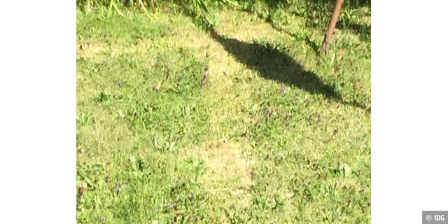 In der Mitte die Spur, die der Sileno mit 2 cm Länge gemäht hat. Das ist die niedrigste Einstellung. Daneben wurde das Gras mit 4 cm gemäht.