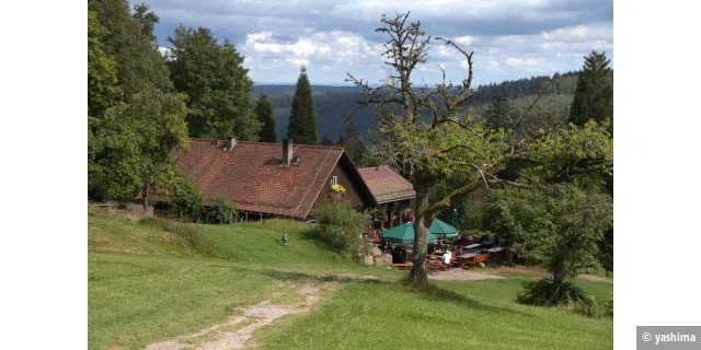 Grünhütte