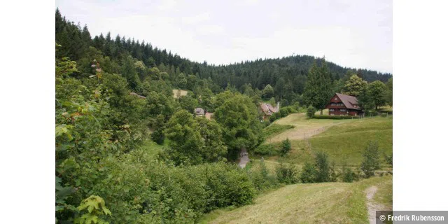 Tour of Schwarzwald
