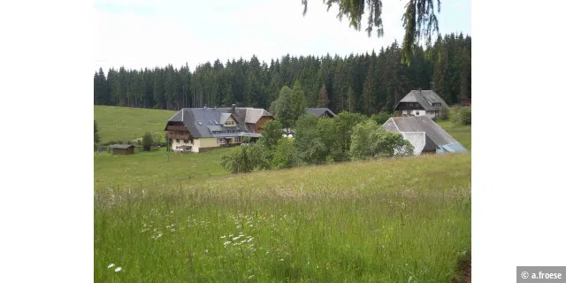 Schwarzwald-Höfe