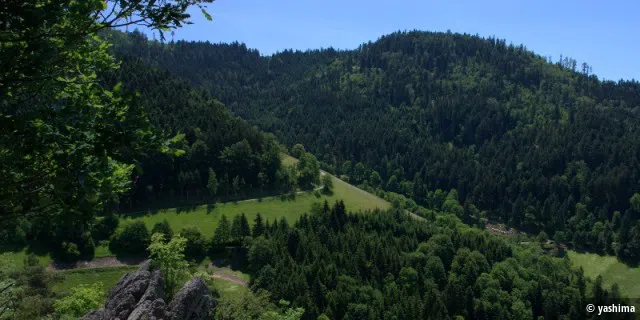 Aussicht über den Schwarzwald