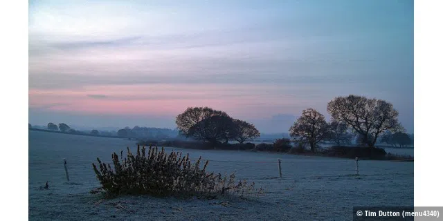 Morning Frost, Storeton