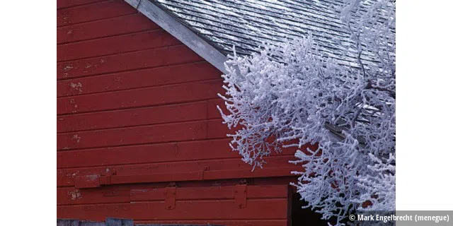 Red Barn with Frost