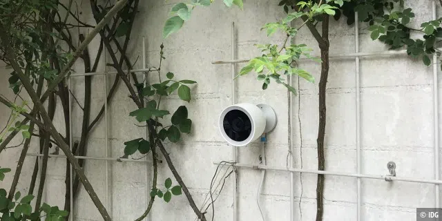 Nest Cam Outdoor IQ im Rosenspalier