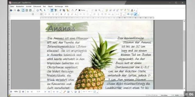 Das PDF-Tool Flexi PDF bearbeitet auch bei fertigen PDFs den Text und die Grafiken.