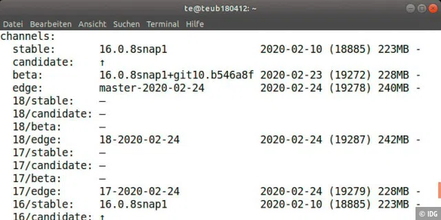 Verfügbare Versionen: „sudo snap info“ gibt aus, welche Nextcloud- Versionen sich installieren lassen, inklusive genauer Versionsnummer und Update-Kanal.