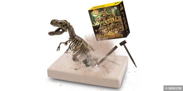 Набор для раскопок динозавров