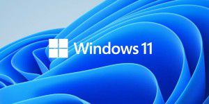Windows 11 Installationsassistent
