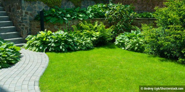 Rasenmähroboter richtig einwintern: Tipps von Gardena