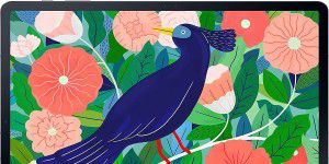 Galaxy Tab S7+: 242 Euro bei Amazon sparen