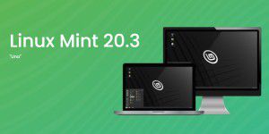 Linux Mint: Mehr Leistung, weniger Bremsen