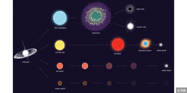 Die unterschiedlichen Entwicklungsmöglichkeiten von Sternen.